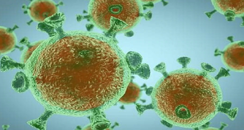 अमेरिकामा कोरोना : संक्रमितको संख्या ७६ लाख ३६ हजार नाघ्याे, मृत्यु दरमा कमि