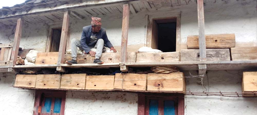 मौरीपालनबाट वार्षिक १२ लाख रुपियाँभन्दा बढी आम्दानी