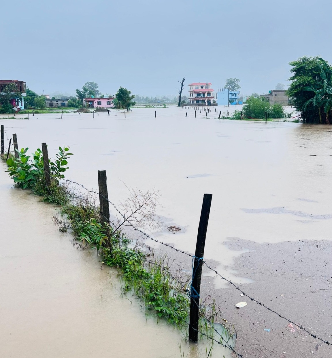 धनगढीमा भारि वर्षापछि दुई हजार घरमा बाढी पस्यो, ८ जनाको उद्धार