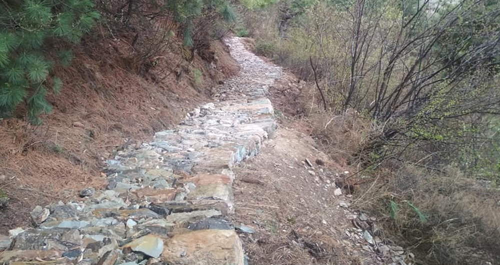 छाङ्गरुदेखि कालापानी जाने बाटो निर्माण गरिँदै