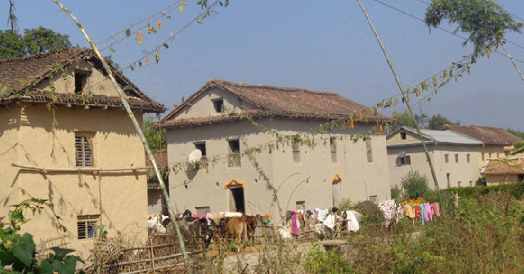 कञ्चनपुरका थारु समुदाय दसैँका लागि घर सजाउँदै