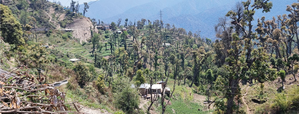 अतिक्रमणको चपेटमा महाभारत वन क्षेत्र
