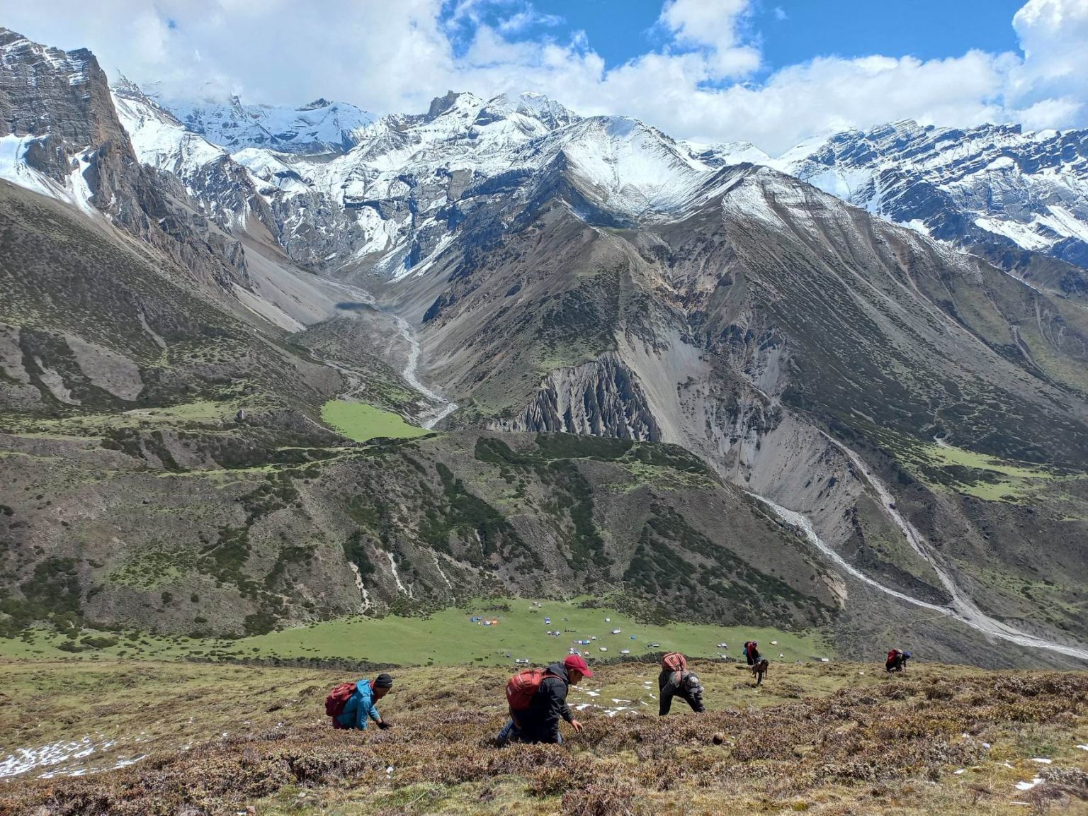 दार्चुलामा यार्सागुम्बा सङ्कलनका लागि शिक्षक–विद्यार्थी हिमालतिर, विद्यालय बन्द