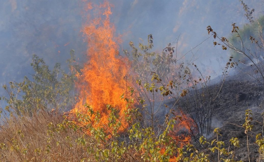 कञ्चनपुरमा डढेलो लाग्न र फैलिन नदिन उच्च सतर्कता