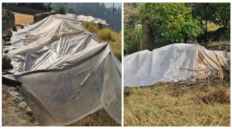 बझाङका भूकम्पपीडितका लागि राहत पठाइँदै