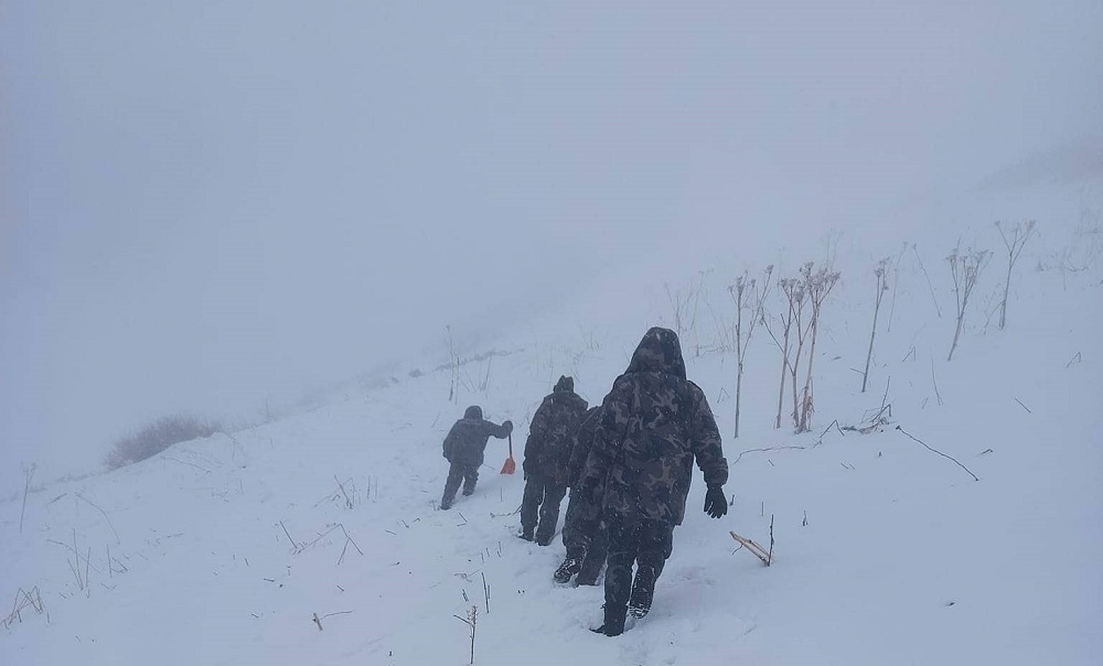 हिमपहिरोमा पाँच बेपत्ता- हिमपातले खोजीमा कठिनाइ, छाङरुबाट उक्लिनै सकेनन् सुरक्षाकर्मी