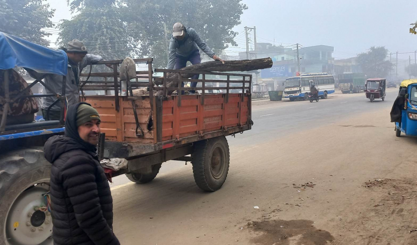 गोदावरी नगरपालिकाद्धारा अत्तरियामा दाउरा वितरण