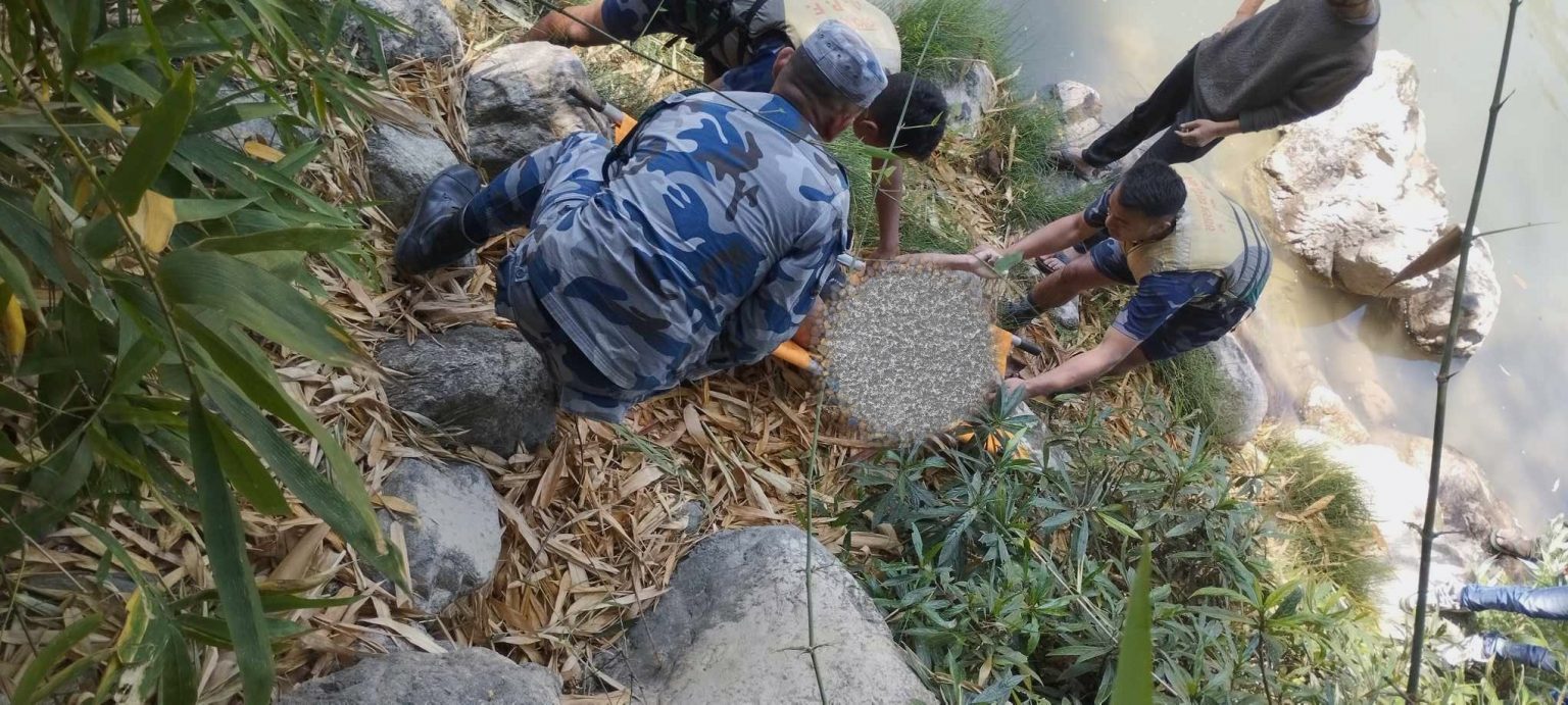 पौडी खेल्ने क्रममा बालकको डुबेर मृत्यु