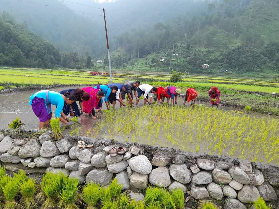 युवा गाउँ पुगेपछि खनिए बाँझो खेत
