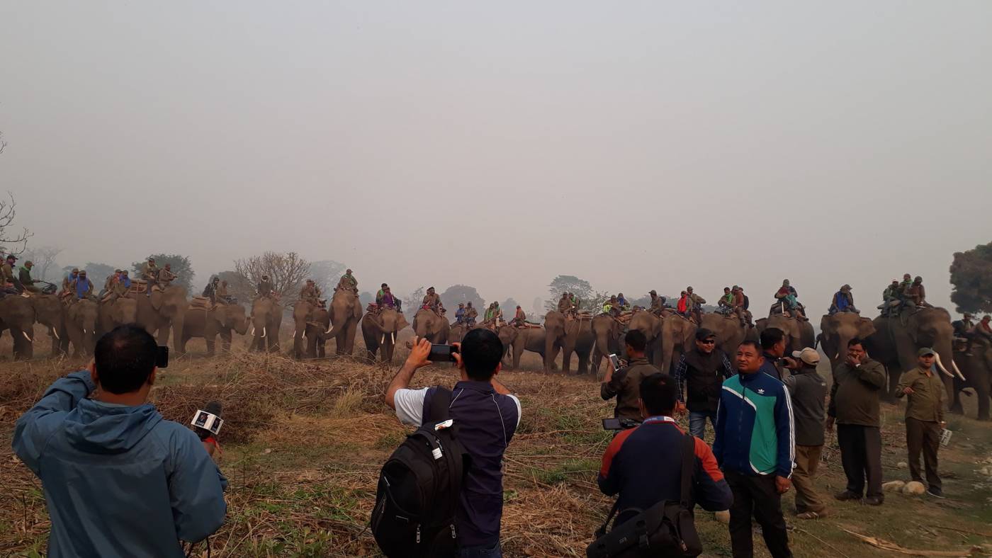 कोरोनाका कारण रोकिएको गैँडा गणना शुरु, २० दिन लाग्ने