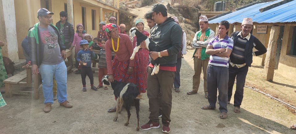आयआर्जनमा सहयोग पुर्‍याउन बझाङमा बाख्रा वितरण