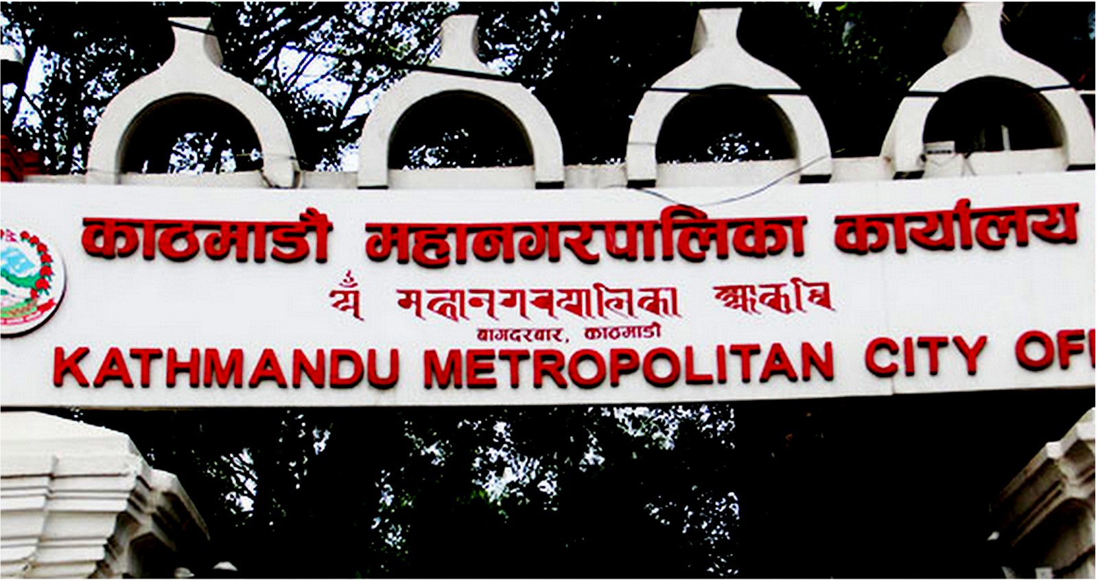 कुकुर र बिरालालाई खोप लगाउन काठमाडौं महानगरको आव्हान