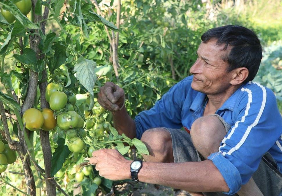 फरक क्षमताका खत्री गाउँकै अगुवा कृषक