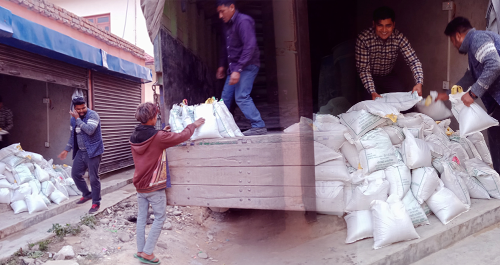 चौरपाटी गाउँपालिकामा फलेको अर्गानिक कोदो धनगढी पुग्यो, सस्तो र सुलभमा किन्न पाईने !