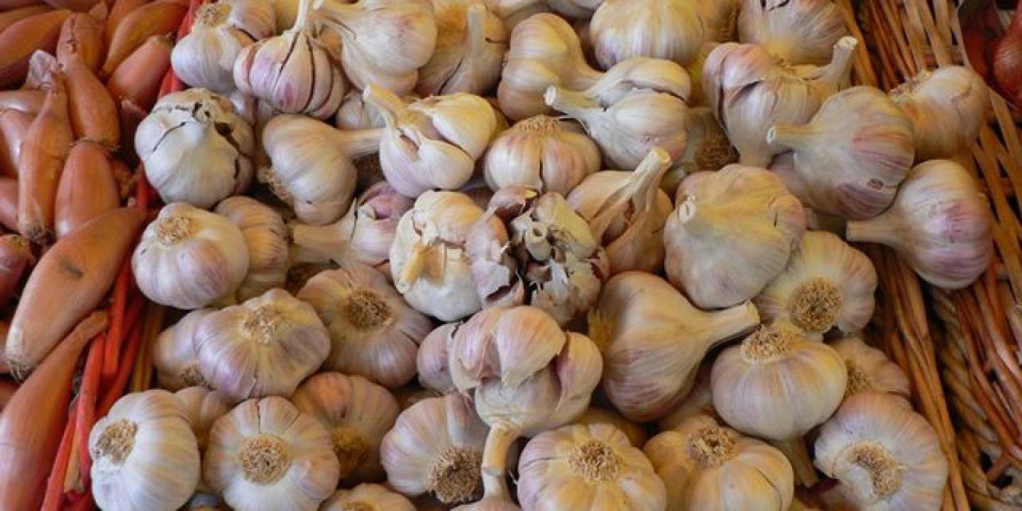 गर्मीमा शरीरलाई हानी गर्ने ५ खानेकुरा