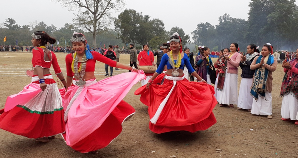 कैलालीमा माघीको तयारीमा जुटे थारु समुदाय