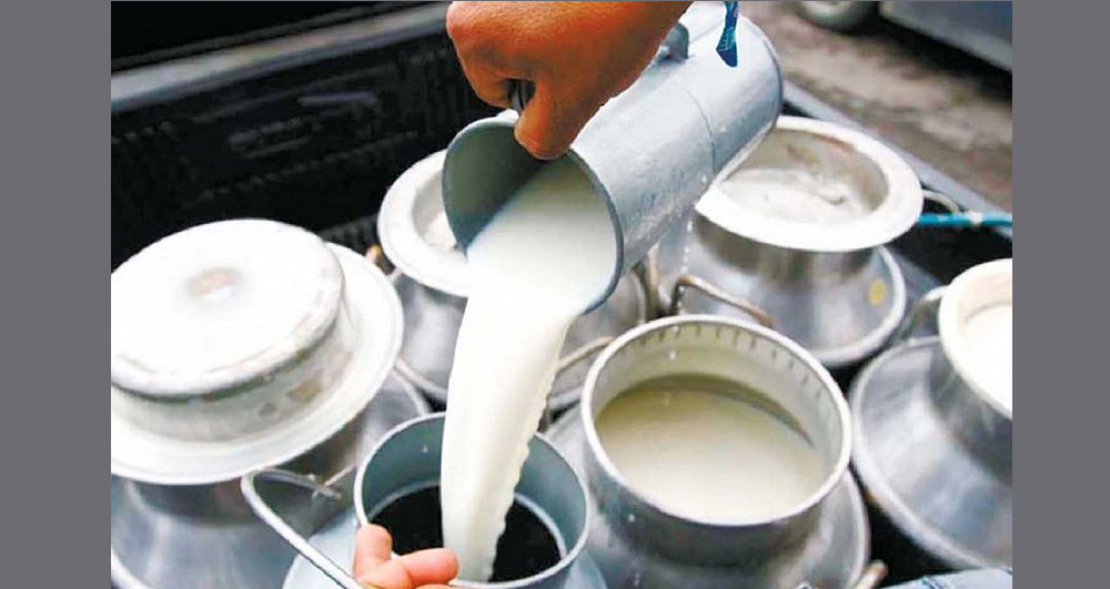 टीकापुर नगरपालिकाले तोक्यो दूधको मूल्य, प्रतिलिटर कति ?