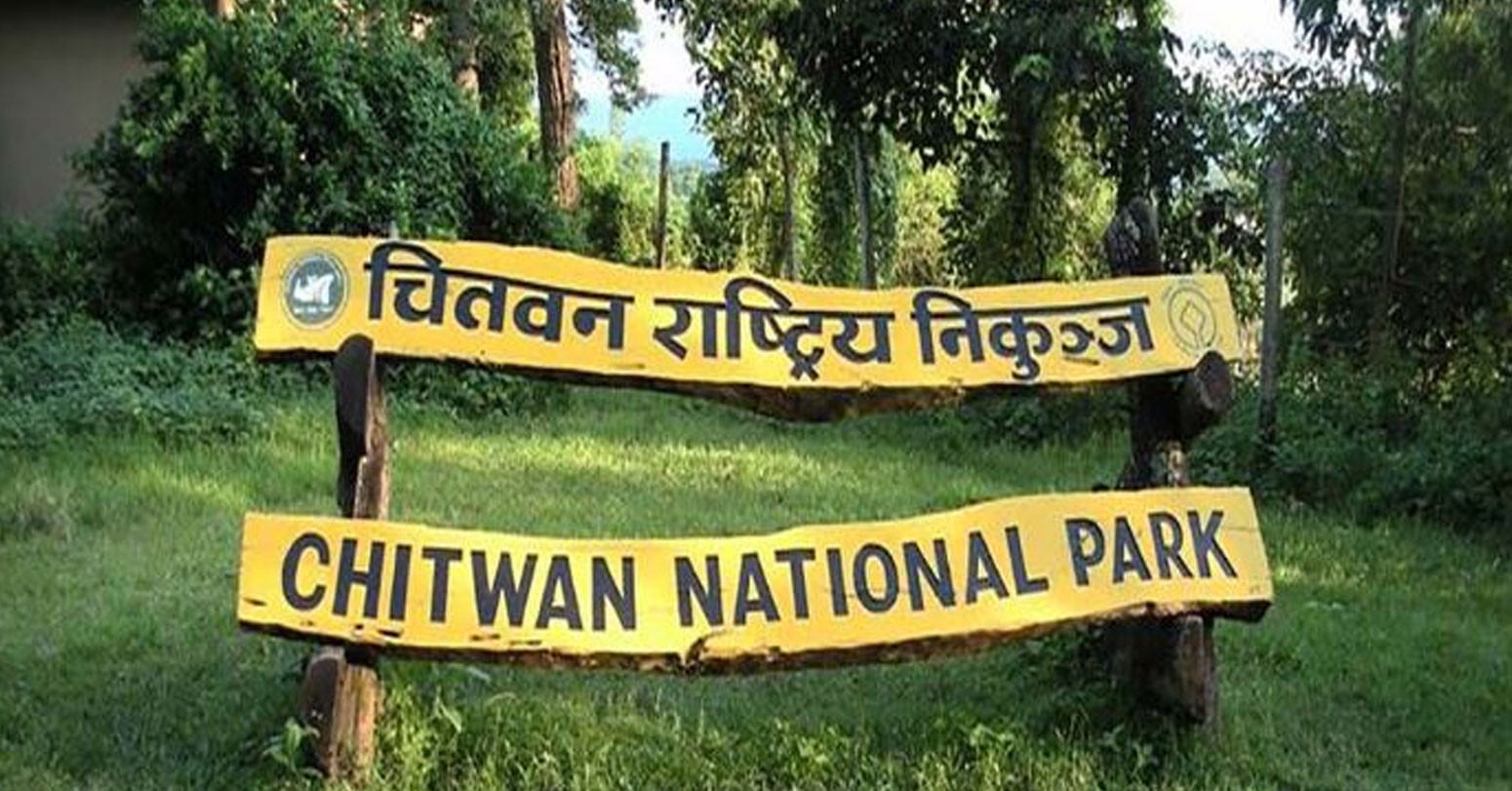 पाँच महिनाको गैँडाको बच्चा मृत फेला