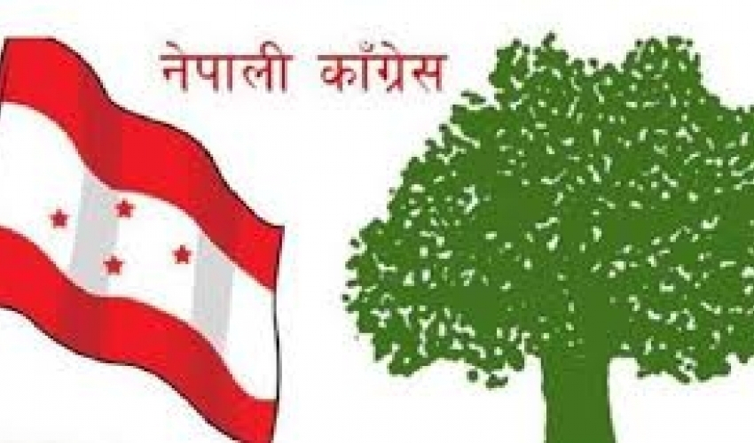 नेपाली कांग्रेसको वडा तहको अधिवेशन नजिकिदै, कस्तो छ तयारी