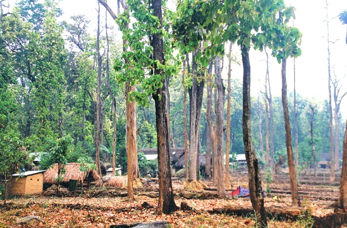 उत्तर भारतको हिमनदीमा बाढी, ९ जनाको मृत्यु दर्जनौँ बेपत्ता