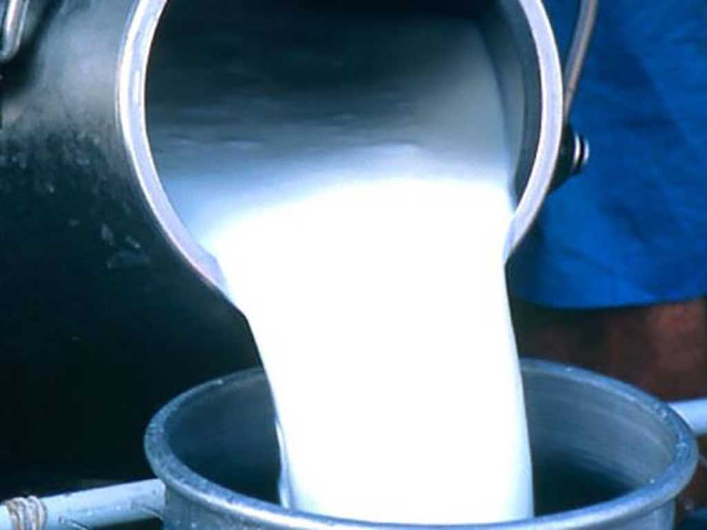 उपभोग घट्दा दूध निर्यात हुँदै
