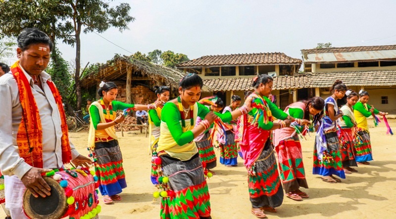 दसैँमा थारु समुदायका महिलाले देखाउने सखिया नृत्यको रौनकता हराउँदै