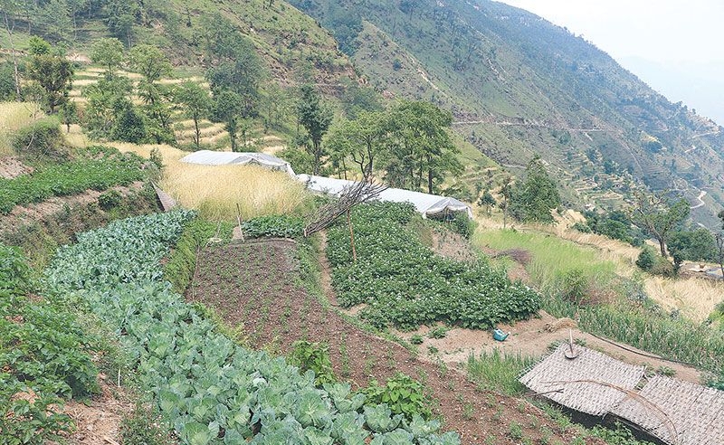विद्यार्थीलाई बेमौसमी तरकारी तालिम