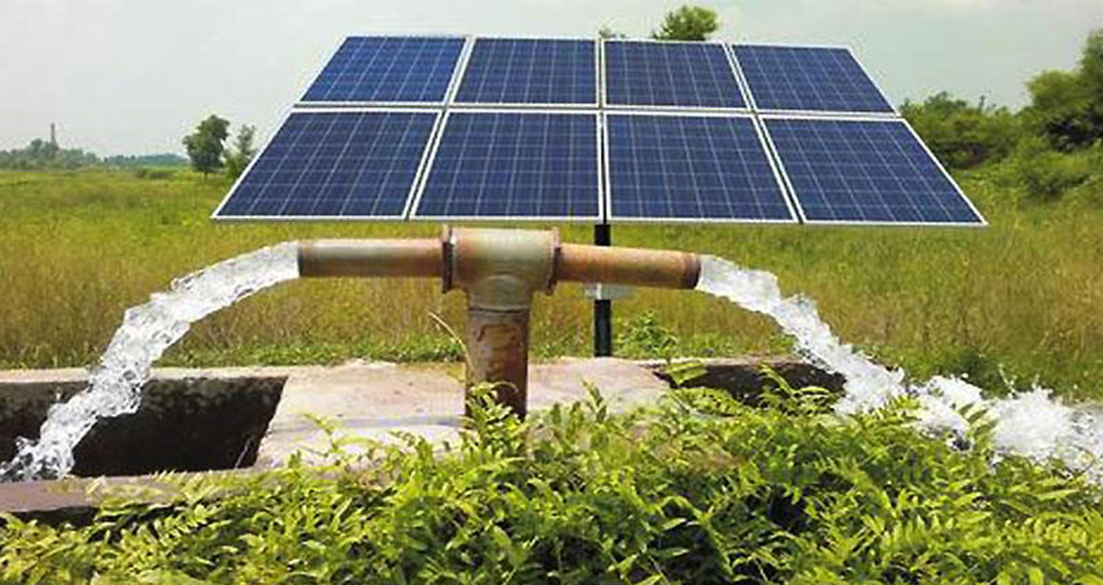 सौर्य सिँचाइले गाउँभरि तरकारी खेती