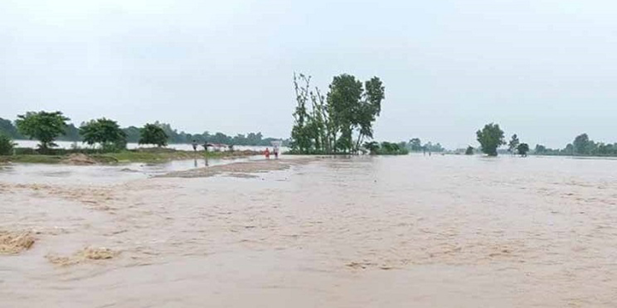 टीकापुर बजार क्षेत्र डुबानको जोखिममा व्यापारी चिन्तित