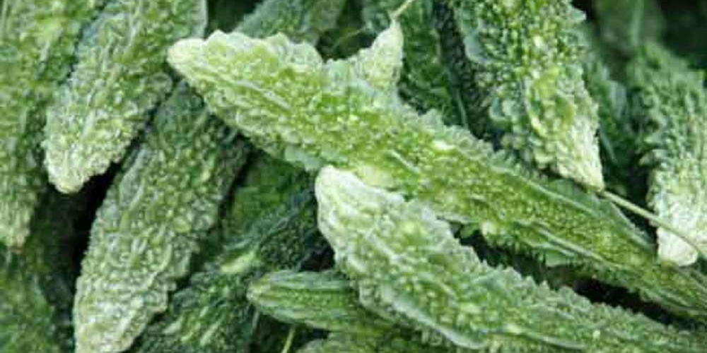पेटसम्बन्धी रोगमा करेला अचूक औषधि, यस्तो छ खाने तरिका