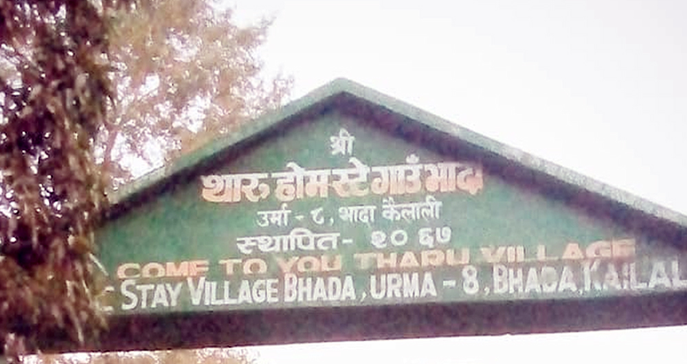 थारु होमस्टे गाउँ भादामा पुस १४ गतेबाट महोत्सव हुने